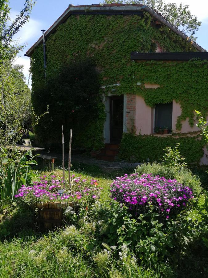 Vila Agriturismo Il Palazzo Brisighella Exteriér fotografie